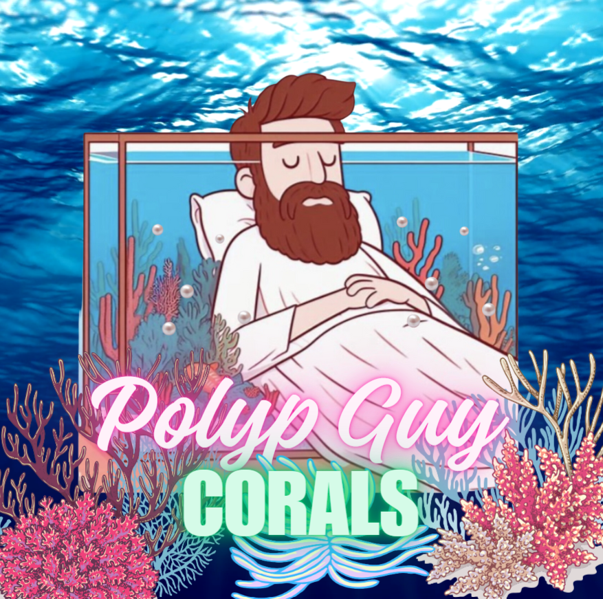 Polyp Guy Corals